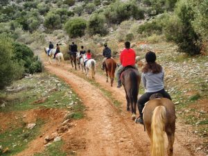 VOUKEFALAS TRAILS4