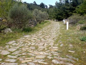 WALK BIKE DRIVE WITH APOSTLE PAUL